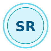 Professional technical support icon