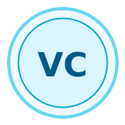 Native vector and AI foundation icon